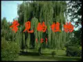 七年级科学上册《常见的植物》课件1 浙教版