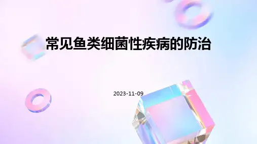 常见鱼类细菌性疾病的防治