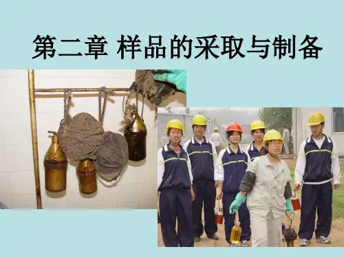 工业分析_第二章_试样的采取和制备