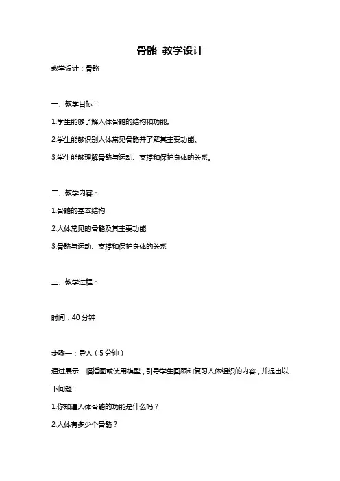 骨骼 教学设计