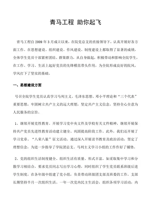 青马工程工作总结01