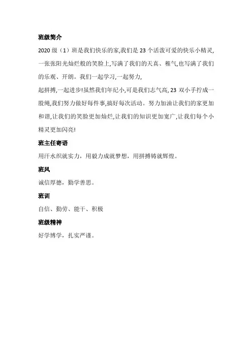 一年级简介 班风 班训班主任寄语