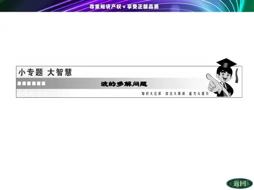 第二章小专题大智慧波的多解问题