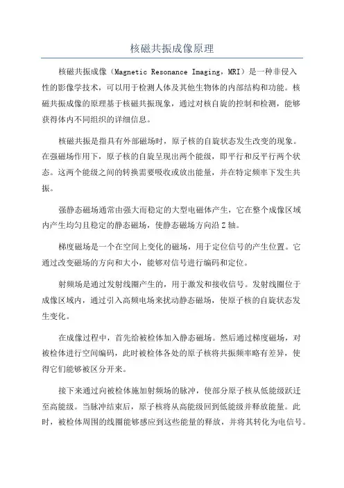核磁共振成像原理