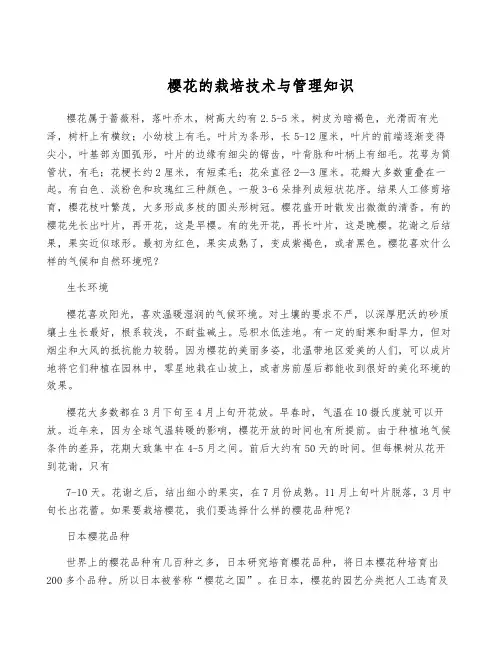 樱花的栽培技术与管理知识