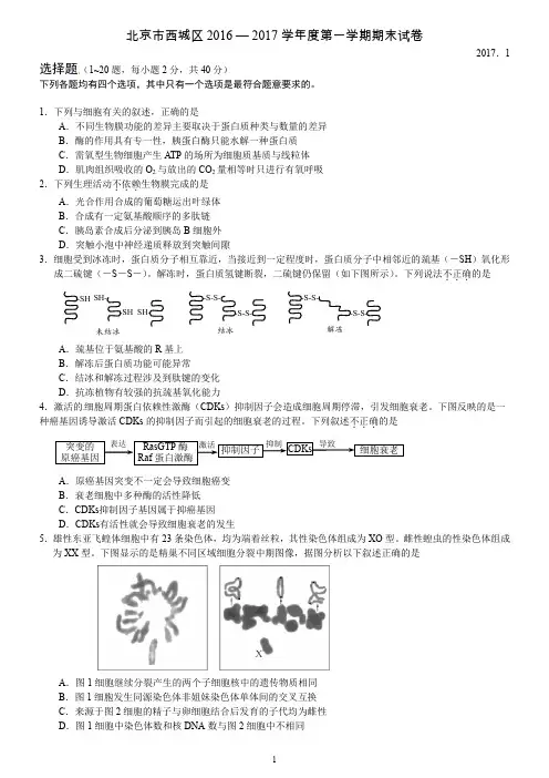 北京市西城区2017届高三上学期期末考试生物试题