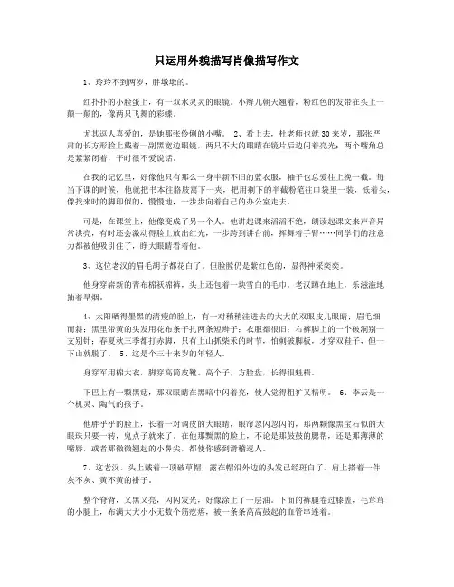 只运用外貌描写肖像描写作文