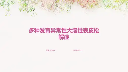 多种发育异常性大泡性表皮松解症PPT演示课件