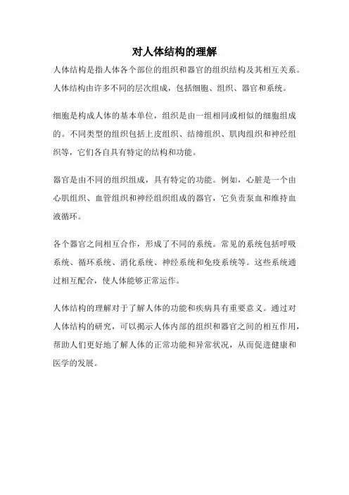 对人体结构的理解