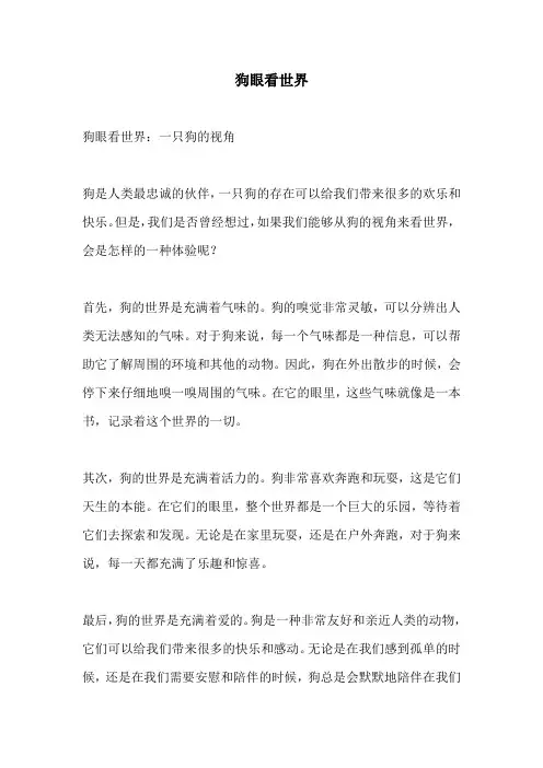 狗眼看世界的相关作文