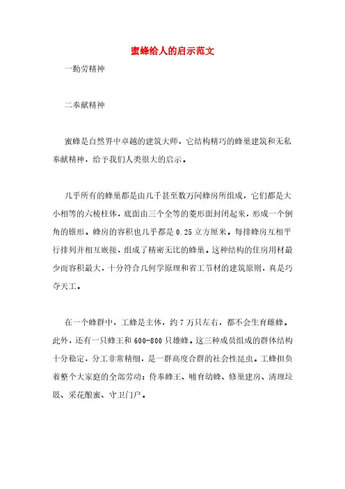 蜜蜂给人的启示范文