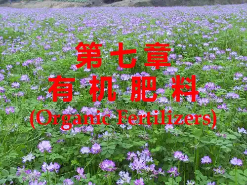 有机肥料PPT课件