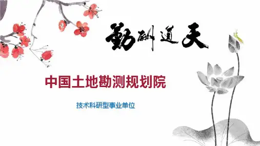 中国土地勘测规划院