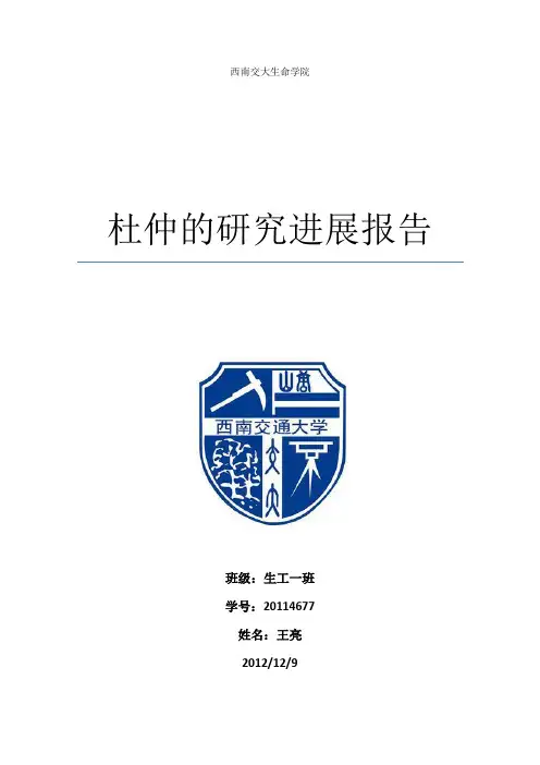 杜仲的研究进展报告