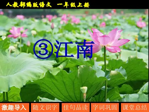 【新编】部编人教版一年级语文上册《江南》优质教学课件