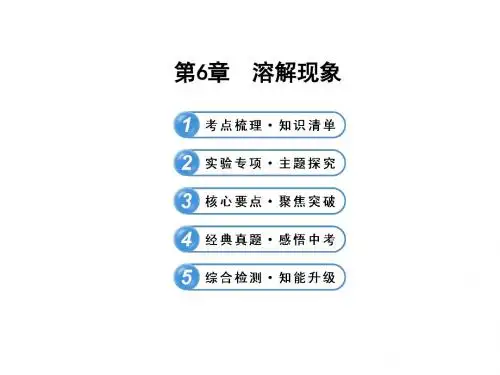 【2014年复习参考】2013版中考化学(沪教版)全程复习方略配套课件