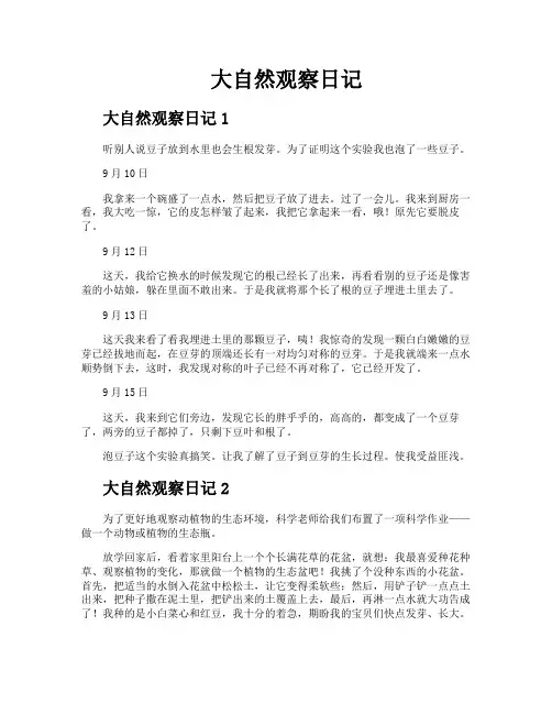 大自然观察日记