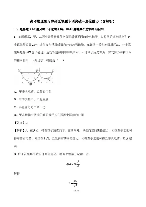 高考物理复习冲刺压轴题专项突破—洛伦兹力(含解析)