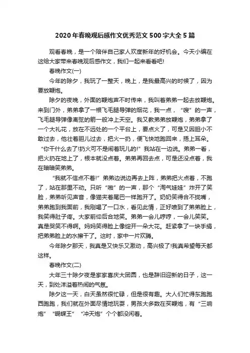 2020年春晚观后感作文优秀范文500字大全5篇