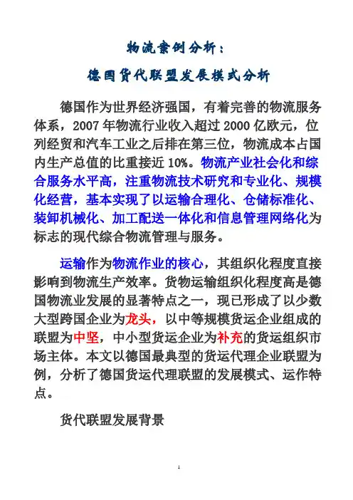 德国案例分析