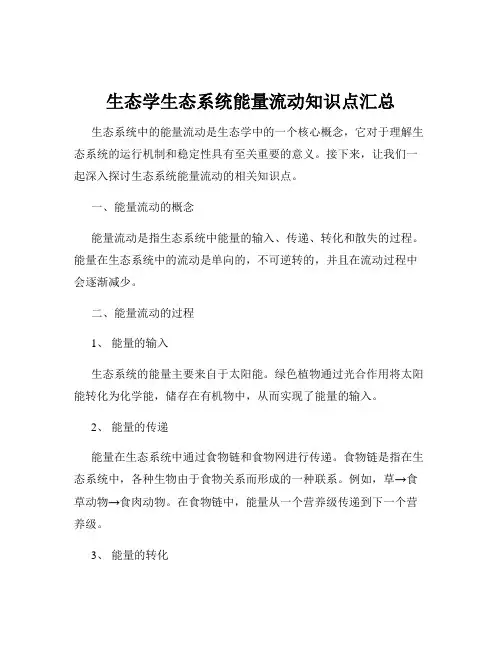 生态学生态系统能量流动知识点汇总