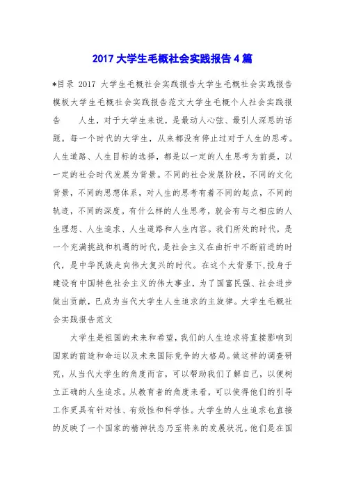 2017大学生毛概社会实践报告4篇
