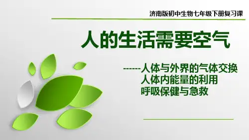 济南版生物七年级下册复习《人的生活需要空气》复习2