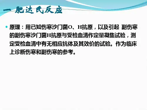六-肥达反应