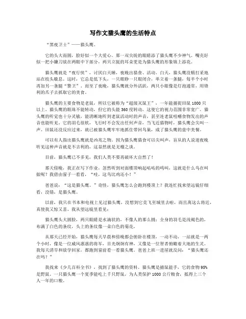 写作文猫头鹰的生活特点