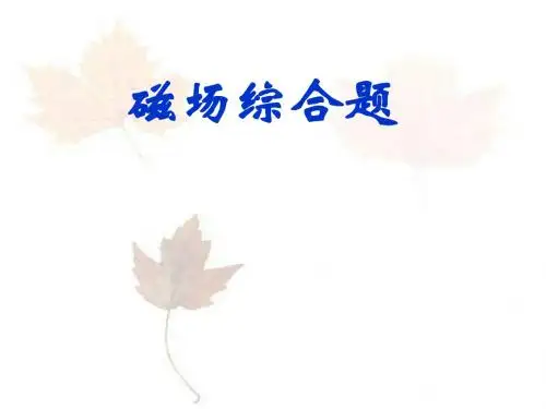 磁场综合题