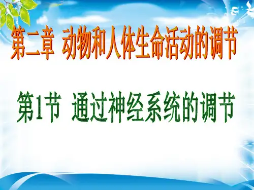 人教版高中生物必修三第2章第1节 通过神经系统的调节  课件(共45张PPT)[优秀课件资料]