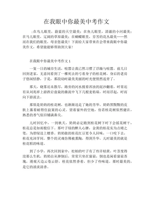 在我眼中你最美中考作文