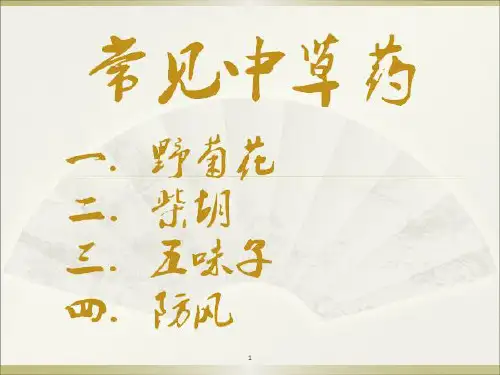 中草药PPT演示课件