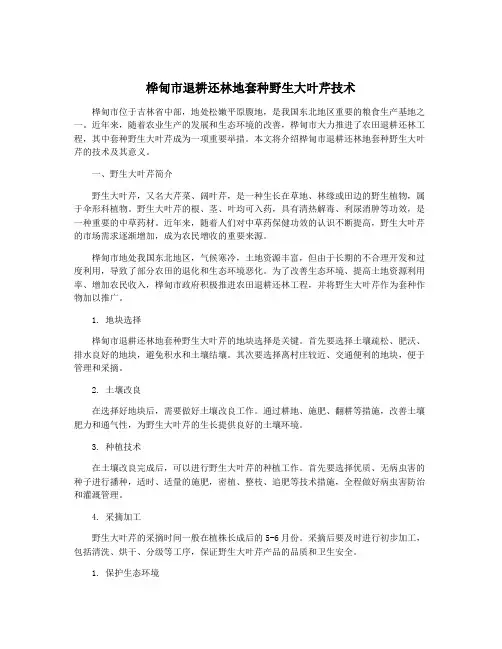 桦甸市退耕还林地套种野生大叶芹技术