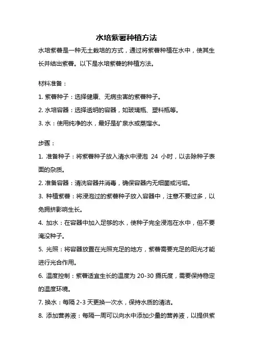 水培紫薯种植方法