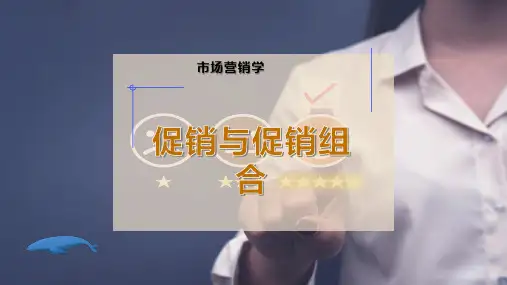 促销与促销组合