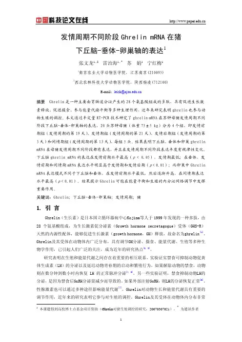 发情周期不同阶段Ghrelin mRNA在猪下丘脑-垂体-卵巢轴的表达