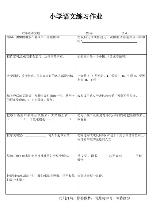 小学六年级语文提高训练IV (41)
