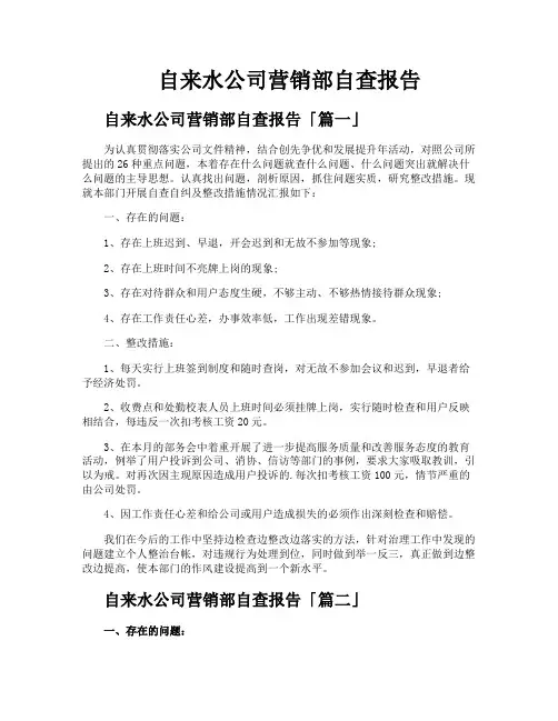 自来水公司营销部自查报告