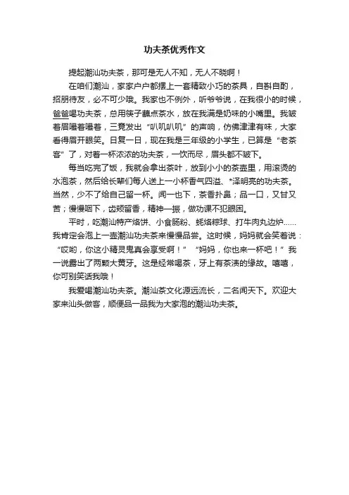 功夫茶优秀作文