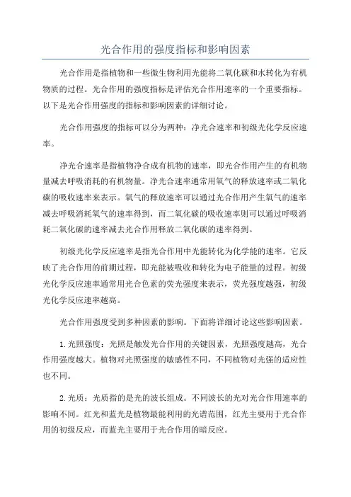 光合作用的强度指标和影响因素