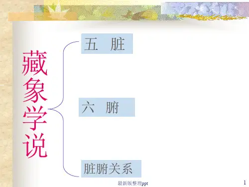 中医基础理论-脏腑学说ppt课件