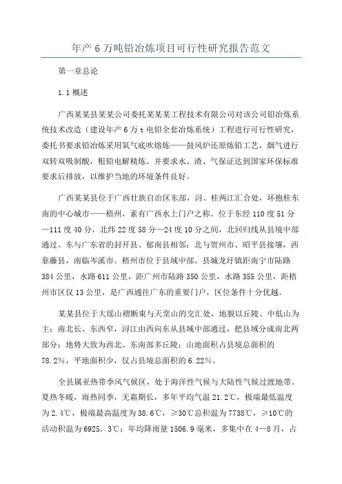 年产6万吨铅冶炼项目可行性研究报告范文