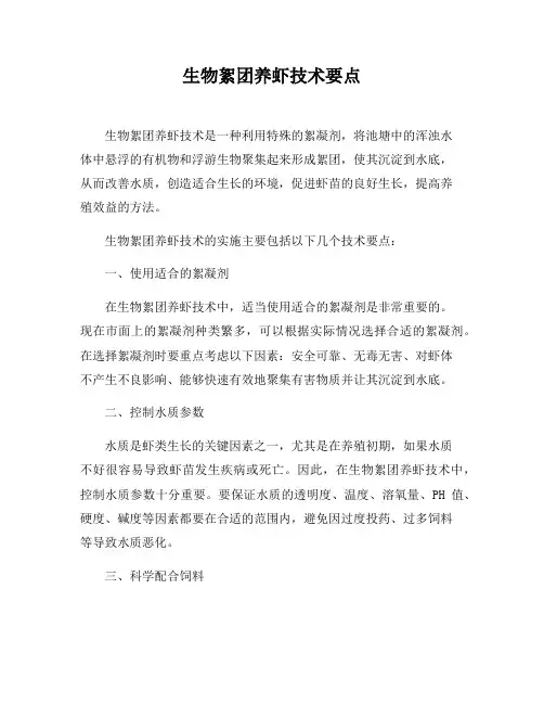 生物絮团养虾技术要点
