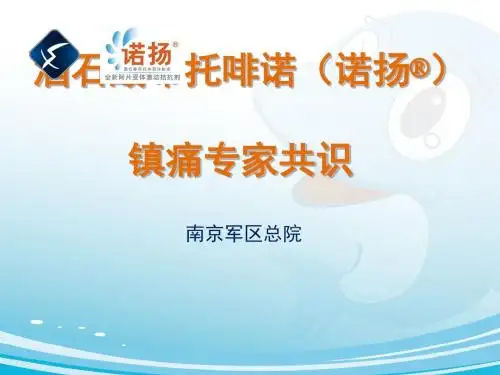 酒石酸布托啡诺诺扬镇痛专家共识徐建国