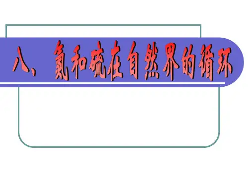 氮和硫的循环