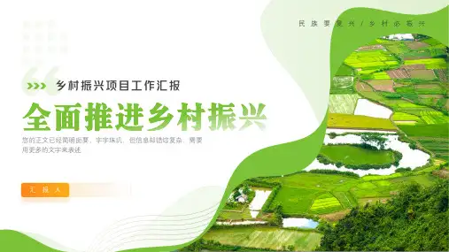乡村振兴项目工作汇报ppt模板