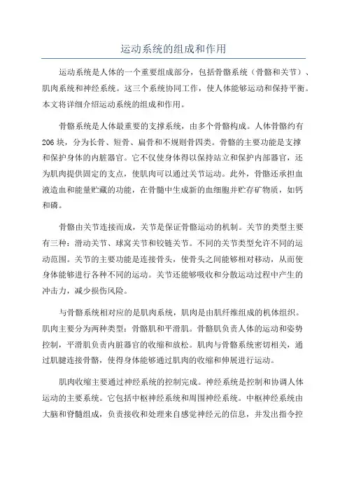 运动系统的组成和作用