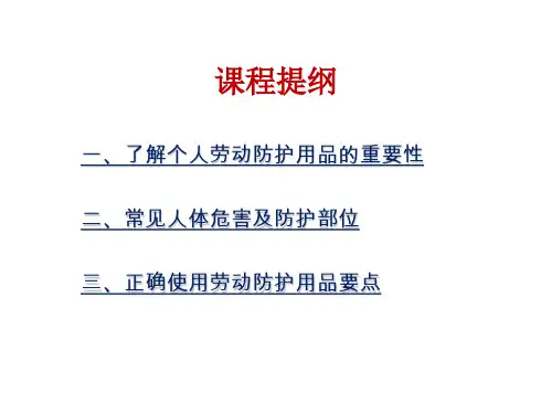 个人劳动防护用品使用ppt课件