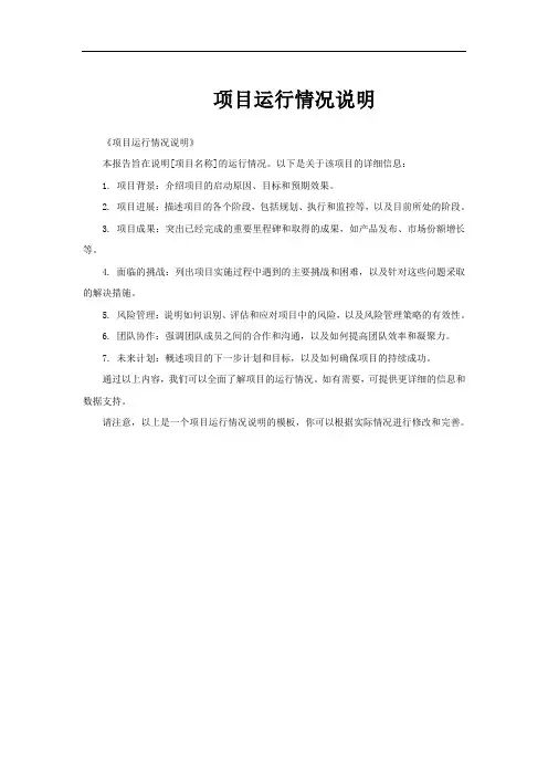 项目运行情况说明